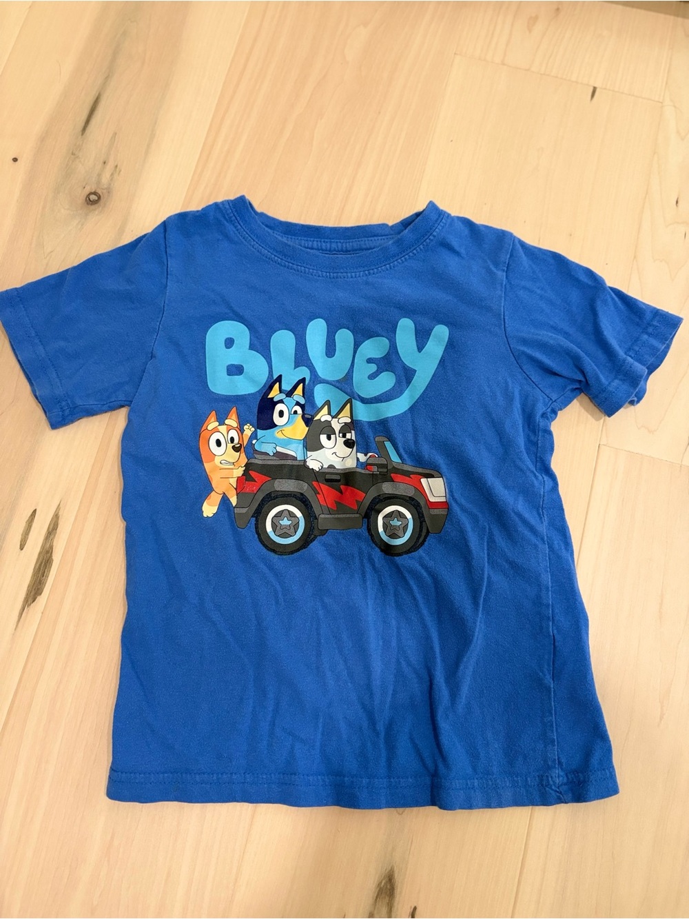 Kids Blue Graphic Tee featuring Bluey